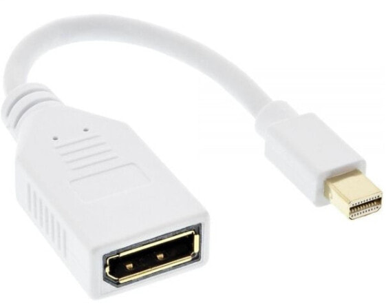 InLine Mini DisplayPort male to DisplayPort female cable - 4K2K - white - 0.15m
