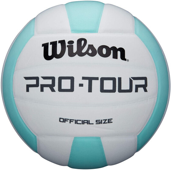 Волейбольный мяч Wilson Pro Tour Indoor, для зала