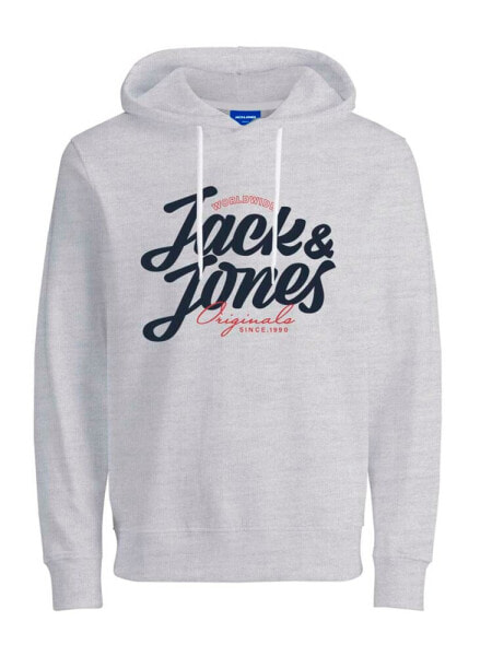 JACK & JONES List hoodie