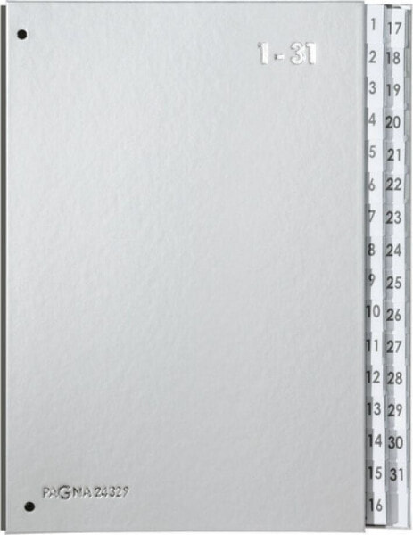 Канцелярские товары PAGNA Прокладка с индексом Color 32 отделения 1-31 серебряный