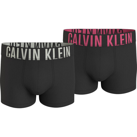 Нижнее белье Calvin Klein Boxer 2 шт.