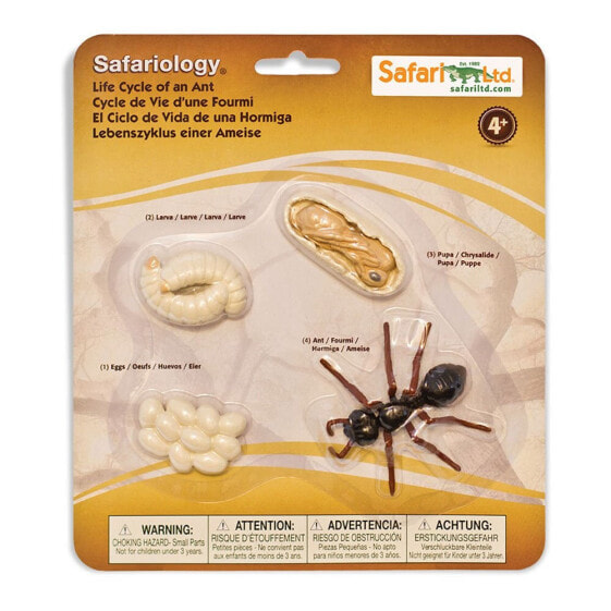 Фигурка Safari Ltd Жизненный цикл муравья (Life Cycle Of An Ant Figure)