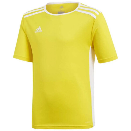 ADIDAS Entrada 18 short sleeve T-shirt