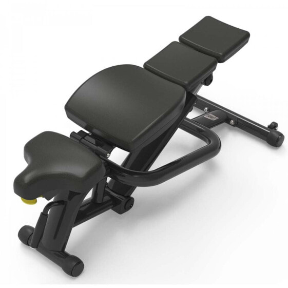 DKN TECHNOLOGY F2G Weight Bench