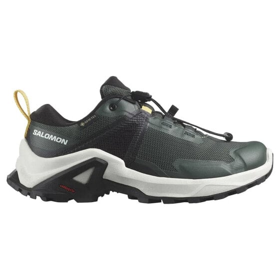 SALOMON X Raise Goretex hiking shoes