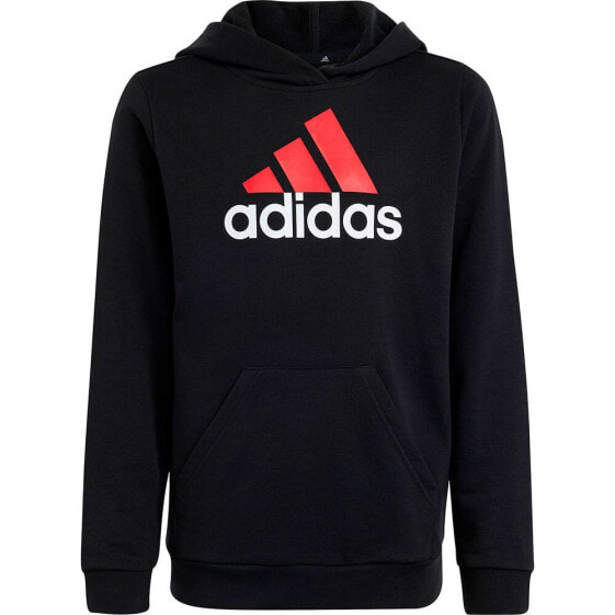 ADIDAS Bl 2 hoodie