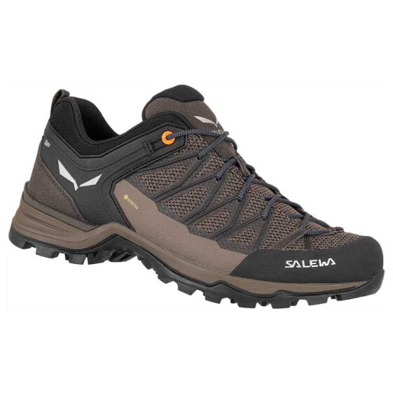 Кроссовки для подхода в горы Salewa MTN Trainer Lite Goretex