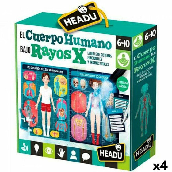 Развивающая игра для детей Headu El cuerpo humano Rayos X 4 штуки