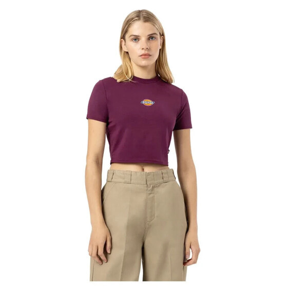 DICKIES Maple Valley short sleeve T-shirt