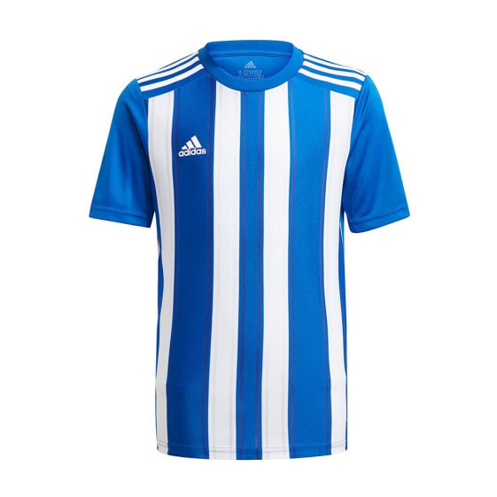 ADIDAS Striped 21 short sleeve T-shirt