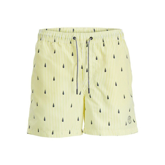 JACK & JONES Fiji Small Stripes Swimming Shorts