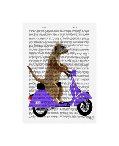 Fab Funky Meerkat on Lilac Moped Canvas Art - 27" x 33.5"