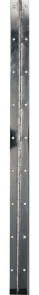 PLASTIMO Stainless Piano Hinge