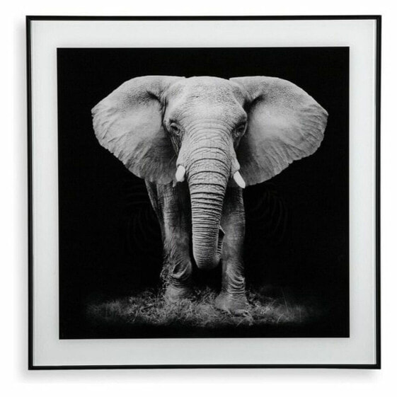 Картина стеклянная Versa Слон 2 x 50 x 50 см