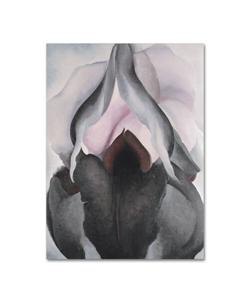 Georgia O'Keefe 'Black Iris' Canvas Art - 32" x 24" x 2"