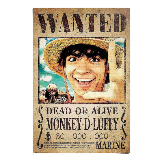 Poster One Piece Monkey D. Luffy