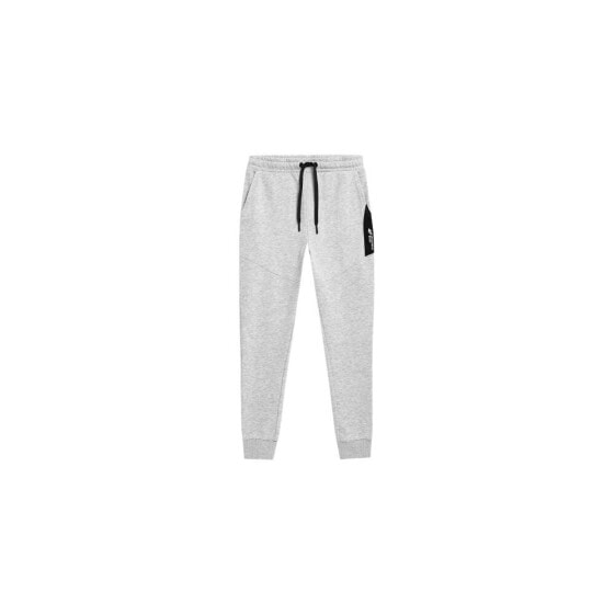 Спортивные брюки для мальчиков 4F серого цвета JSS23TTROM132