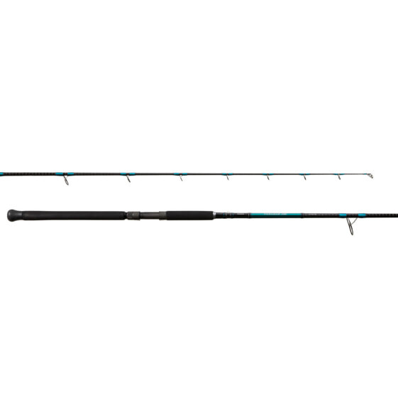 Shimano TERAMAR PX SE SPINNING, Saltwater, Inshore, Spinning, 8'0", Extra Ext...