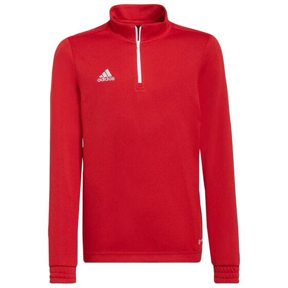 ADIDAS Entrada 22 Training sweatshirt