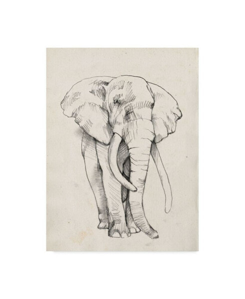 Jennifer Goldberger Elephant Portrait Bold II Canvas Art - 15" x 20"