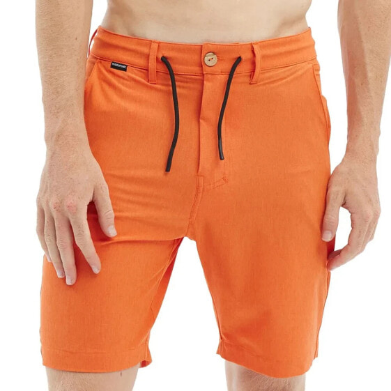 HYDROPONIC 20´ Pelham Swimming Shorts