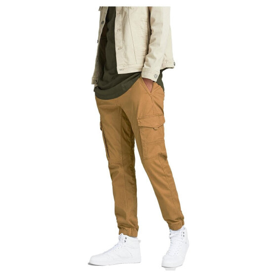 JACK & JONES Paul Flake Ana Cargo Pants