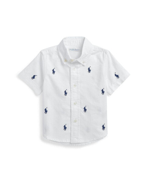 Рубашка коротким рукавом Polo Ralph Lauren для маленьких малчиков Pony Oxford