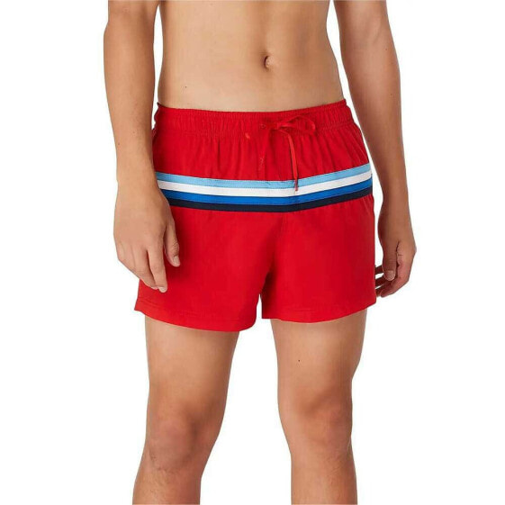 Шорты плавательные Speedo Colorblock Volley 14´´