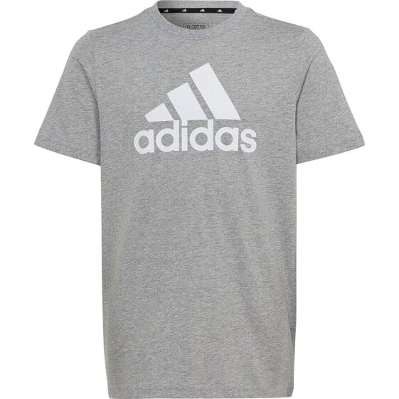 ADIDAS Bl short sleeve T-shirt