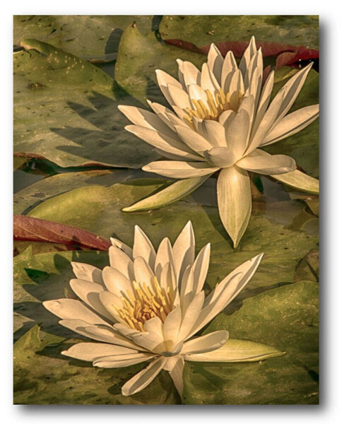 Lotus Dream Gallery-Wrapped Canvas Wall Art - 16" x 20"