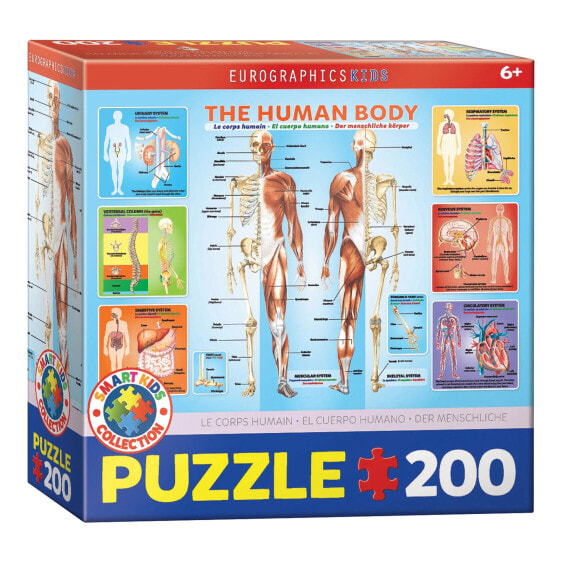 Puzzle Der menschliche Körper