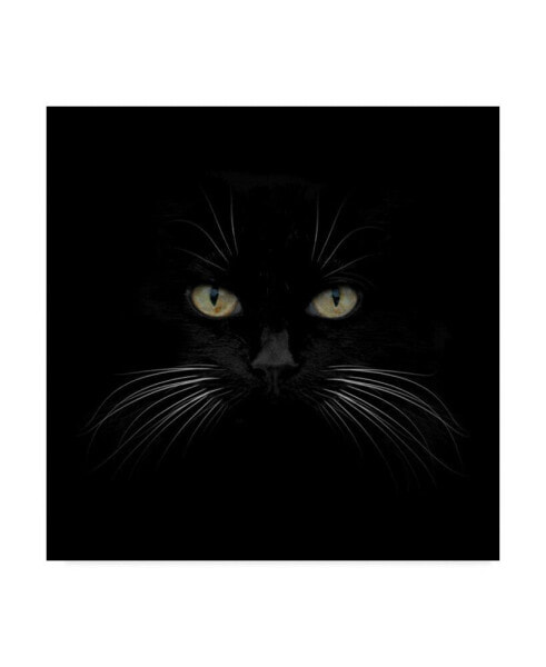 Lori Hutchison 'Black Cat Centered' Canvas Art - 24" x 24"