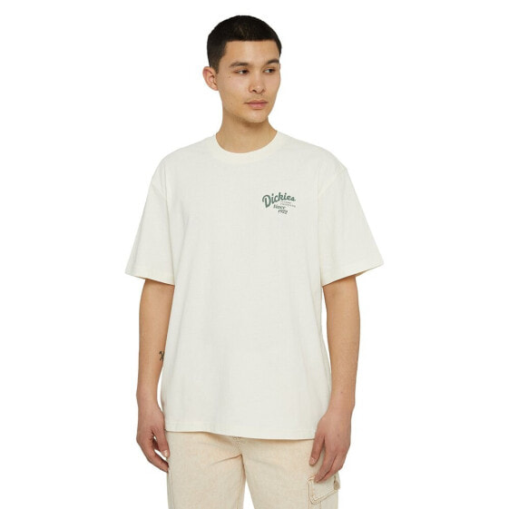 DICKIES Raven short sleeve T-shirt