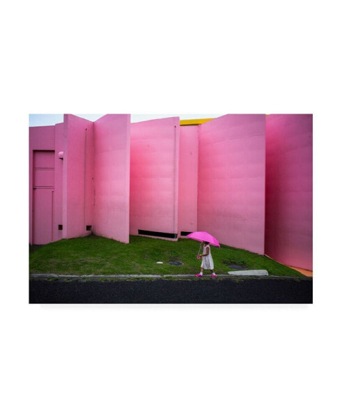 Tetsuya Hashimoto The Pink Color World Canvas Art - 20" x 25"
