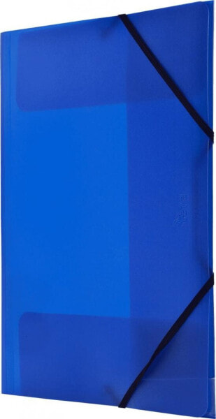 Tetis Teczka PP z gumka narożną A4 niebieska