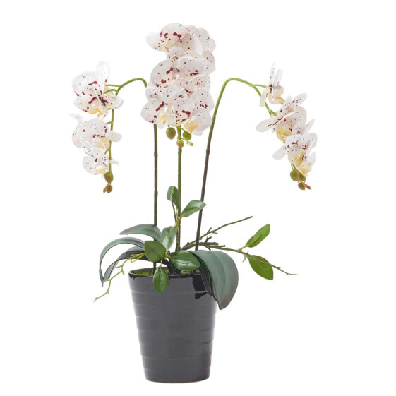 Künstliche weiße Phalaenopsis-Orchidee