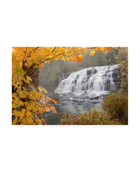 Monte Nagler Lower Bond Falls in Autumn Bruce Crossing Mi Color Canvas Art - 20" x 25"