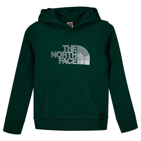 THE NORTH FACE Biner Graphic Hoodie