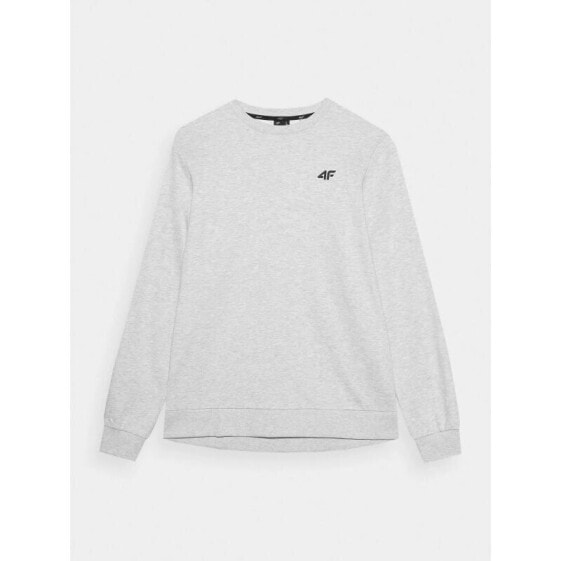 4F M 4FWMM00TSWSM1465-27M sweatshirt