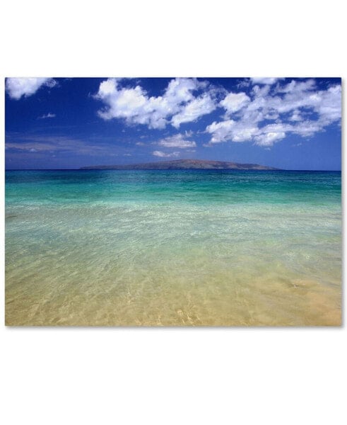 Картина на холсте Trademark Global 'Hawaii Blue Beach', 30" x 47"