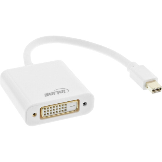 InLine Mini DisplayPort male / DVI-D 24+1 Adapter female white - 0.15m