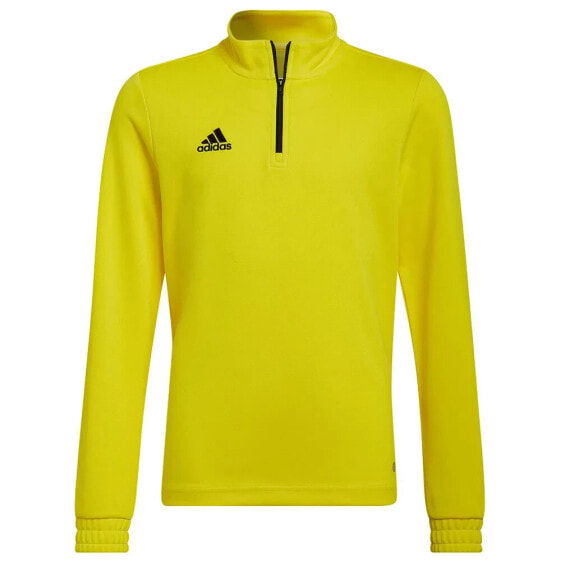 ADIDAS Entrada 22 Training sweatshirt