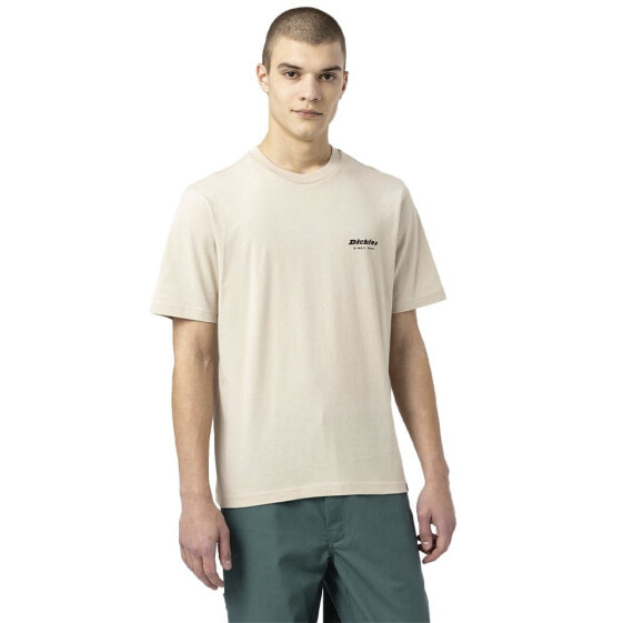 DICKIES Artondale Box short sleeve T-shirt