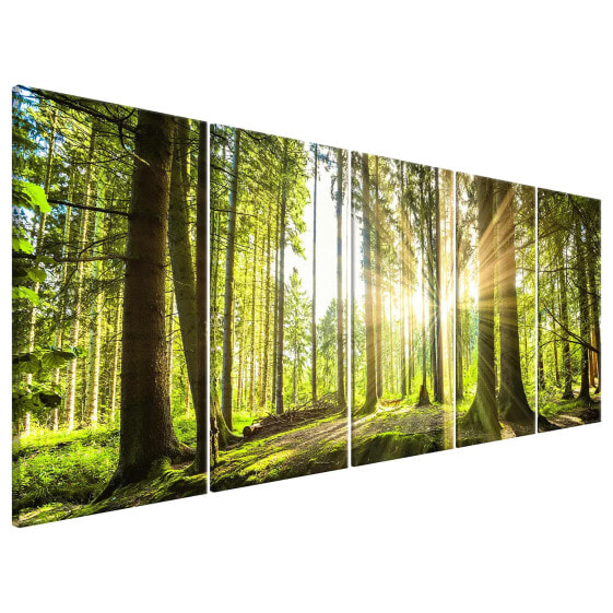 Wandbild Sunlight