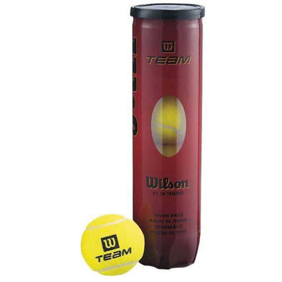Мячи для большого тенниса высокой производительности Wilson Team Practice