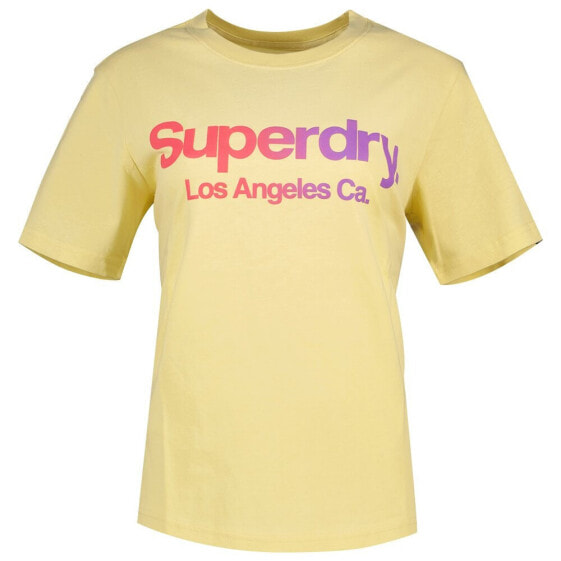 SUPERDRY Tonal Rainbow Core Relaxed short sleeve T-shirt