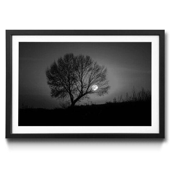 Gerahmtes Bild Tree Sunset