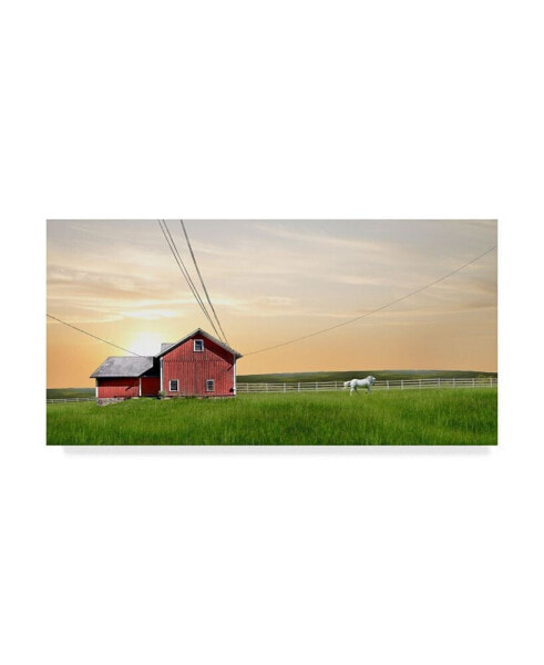 James Mcloughlin Farm and Country IV Canvas Art - 20" x 25"