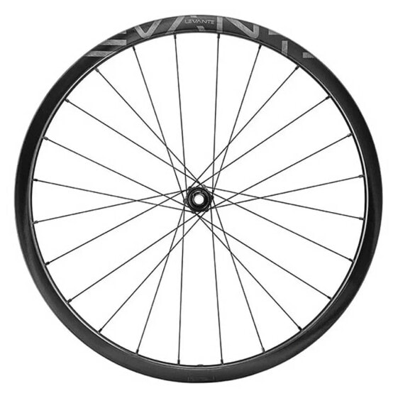 CAMPAGNOLO Levante 30 2WF CL Disc gravel rear wheel