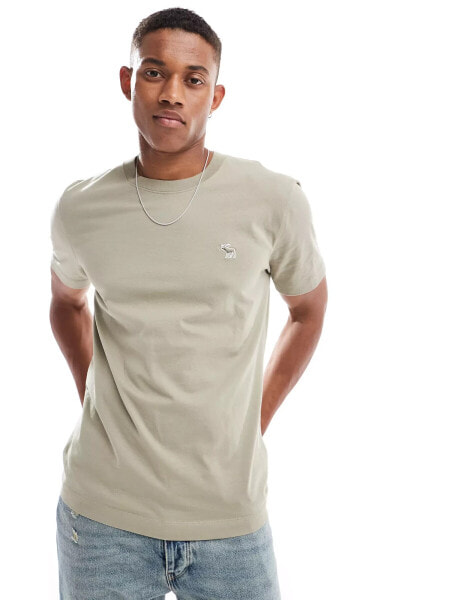 Abercrombie & Fitch icon logo t-shirt in khaki